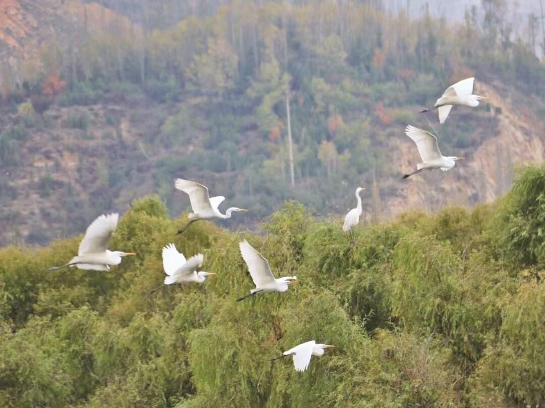 ������ش�����w��